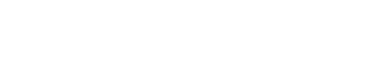 Logo White